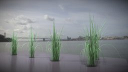 Reeds (Wip-1) reed, reeds, grasses, vis-all-3d, 3dhaupt, software-service-john-gmbh, poaceae, phragmites-australis, schilf, schilfrohr