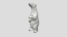 polar bear sculpture bear, garden, outdoor, polar, courtyard, lawn, 3d, animal, sculpture