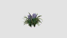 Iris 3dmodels, plants, flowers, iris, bushes, 031, am86