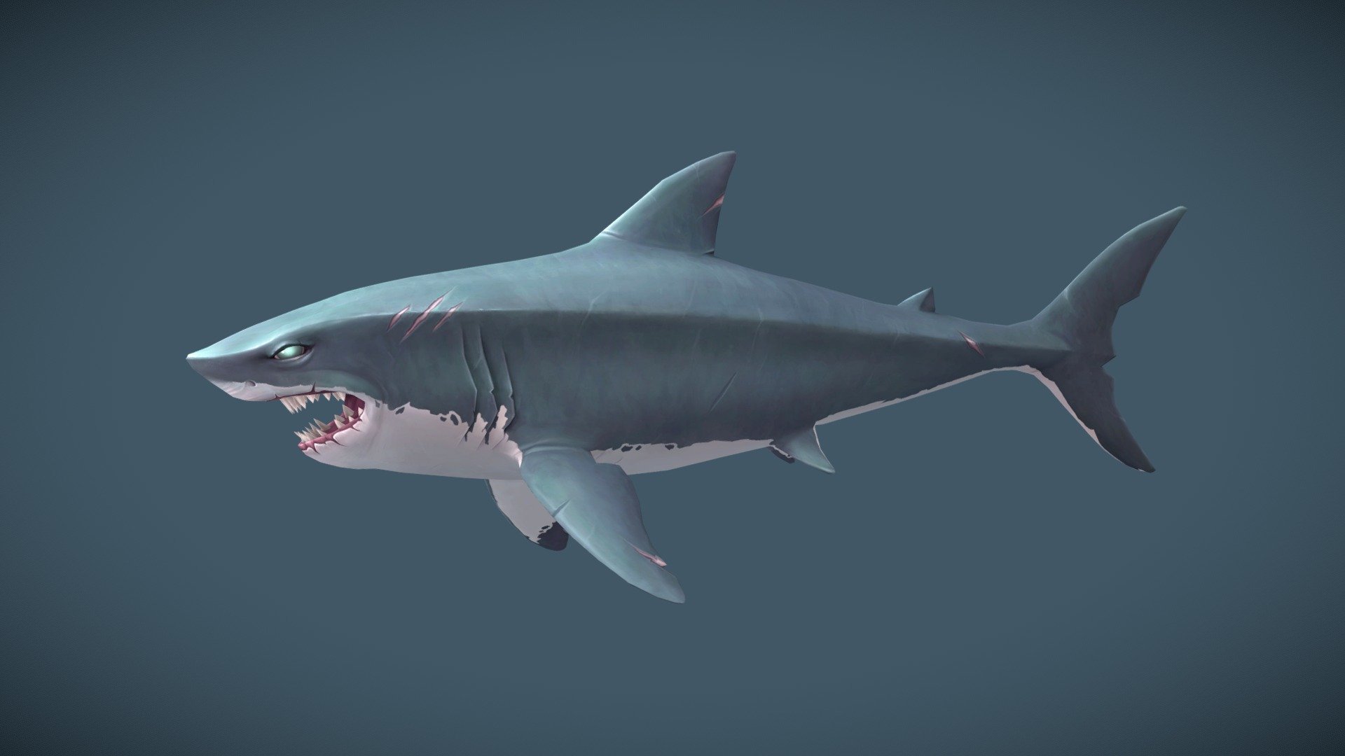 Hello! Here is my shark. It was painted in a mix of substance painter and procreate in hopes to improve my texturing skills further!

I edited and reanimated the shark in blender from a base rig by Jerome Angeles - Handpainted Shark - 3D model by Claire Chidgey (@chidgey) 3d model