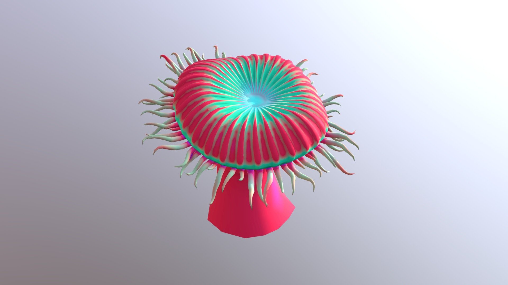 Sea anemone mesh to decorate your beach/underwater themed scenes 3d model