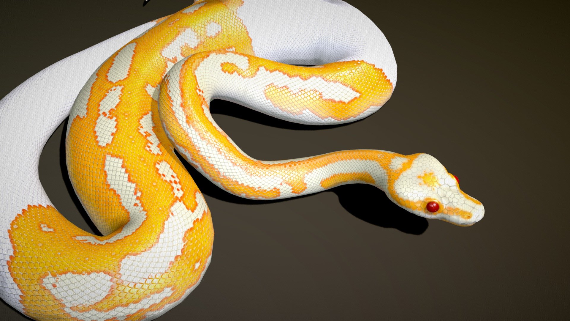 Before purchasing this model, you can download Guppy and try to import it.
Because for different software, rigging and animation may have different problems.

Additional files:
Green Tree Python textures and poses - Dreamsicle Ball Python - Buy Royalty Free 3D model by NestaEric 3d model