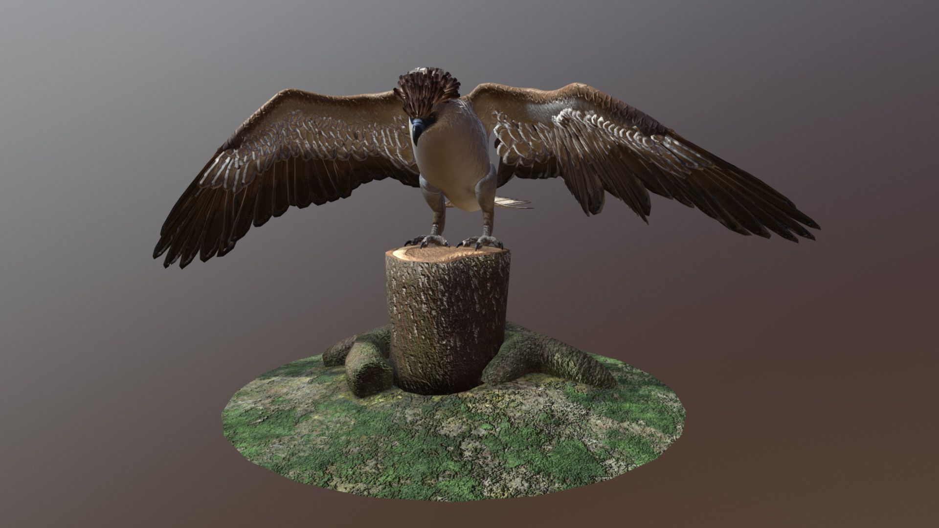 Philippine Eagle V3 - 3D model by Vida Systems (@objects1) 3d model
