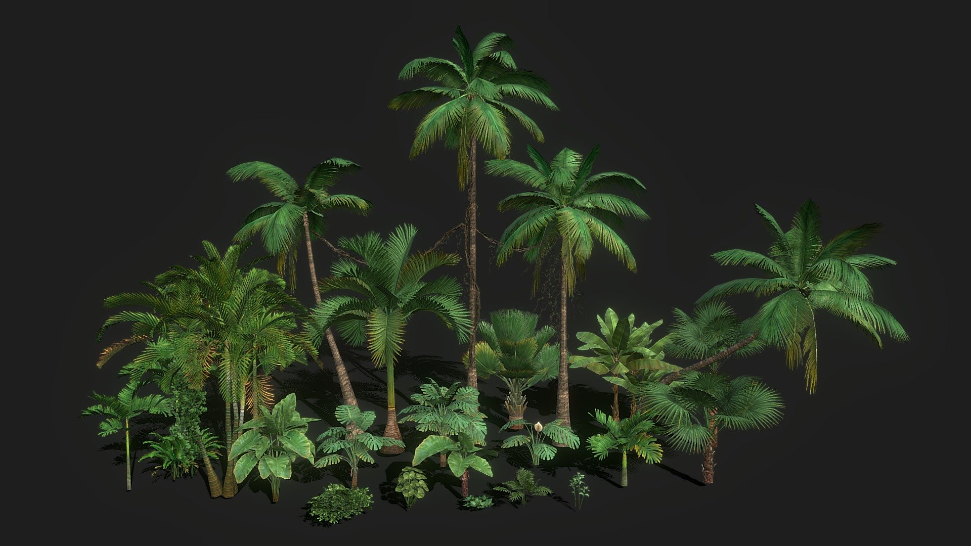 Palm tree pack!

Low-Poly, Game Ready, Mobile!

1 Texture Atlas 4096x4096 for all Models on pack!

Check out my next pack of trees https://skfb.ly/oyuqY - Tropical Palm Tree Pack (Low-Poly) - Buy Royalty Free 3D model by Yurii_Chumak 3d model