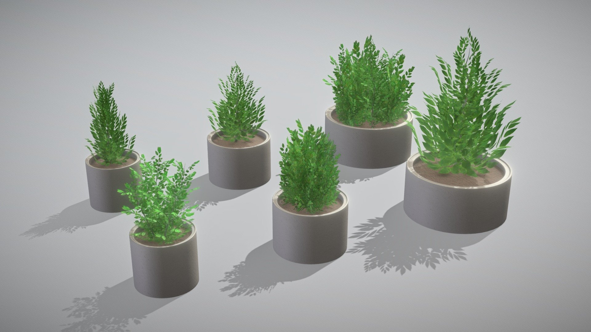Here are some concrete pipe pots with bushes, version 2 without grass.

Parts:

Object Name - Concrete_pot_800mm_Bush_1-2 
Dimensions -  0.976m x 0.950m x 1.906m
Vertices = 1870
Polygons = 2256



Object Name - Concrete_pot_800mm_Bush_2-2 
Dimensions -  1.075m x 1.132m x 1.765m
Vertices = 2922
Polygons = 2770



Object Name - Concrete_pot_1000mm_Bush_1-2 
Dimensions -  1.290m x 1.245m x 2.013m
Vertices = 2173
Polygons = 2506



Object Name - Concrete_pot_1000mm_Bush_2-2 
Dimensions -  1.001m x 1.001m x 1.862m
Vertices = 1385
Polygons = 1946



Object Name - Concrete_pot_1500mm_Bush_1-2 
Dimensions -  1.524m x 1.503m x 2.115m
Vertices = 4017
Polygons = 4066



Object Name - Concrete_pot_1500mm_Bush_2-2 
Dimensions -  1.966m x 2.029m x 2.849m
Vertices = 2173
Polygons = 2506


Modeled and textured by 3DHaupt in Blender-2.91 - Concrete Pipe Pots with Bushes 2 - Buy Royalty Free 3D model by VIS-All-3D (@VIS-All) 3d model
