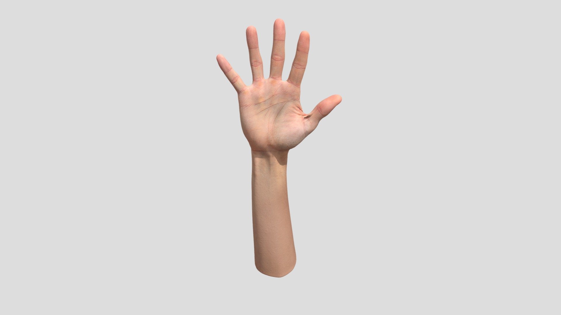 We would like to introduce you to one of the many retopologized hands that offers precise retopology.This hand is perfect for anyone looking for a realistic and aesthetically crafted model for their projects. Find out how this collection can enrich your creative work and give it the visual punch it needs!

Ethnicity: White
Gender: Male
Age: 41
Height: 186 cm
Weight: 62 kg

NOTE: Retopologized scan with postproduction.

Technical Specifications:

1 x OBJ. File / 19 600 polys
2 x 8K PNG Texture - Diffuse, Normal

3Dsk provides all you need from virtual casting studio. Model casting, neutral &amp; morph expression scans, full body scans, accessories and cloth scans, 3D postproduction, photoshooting of full body, portrait, hair, eyes and skin &amp; other on demand services 3d model
