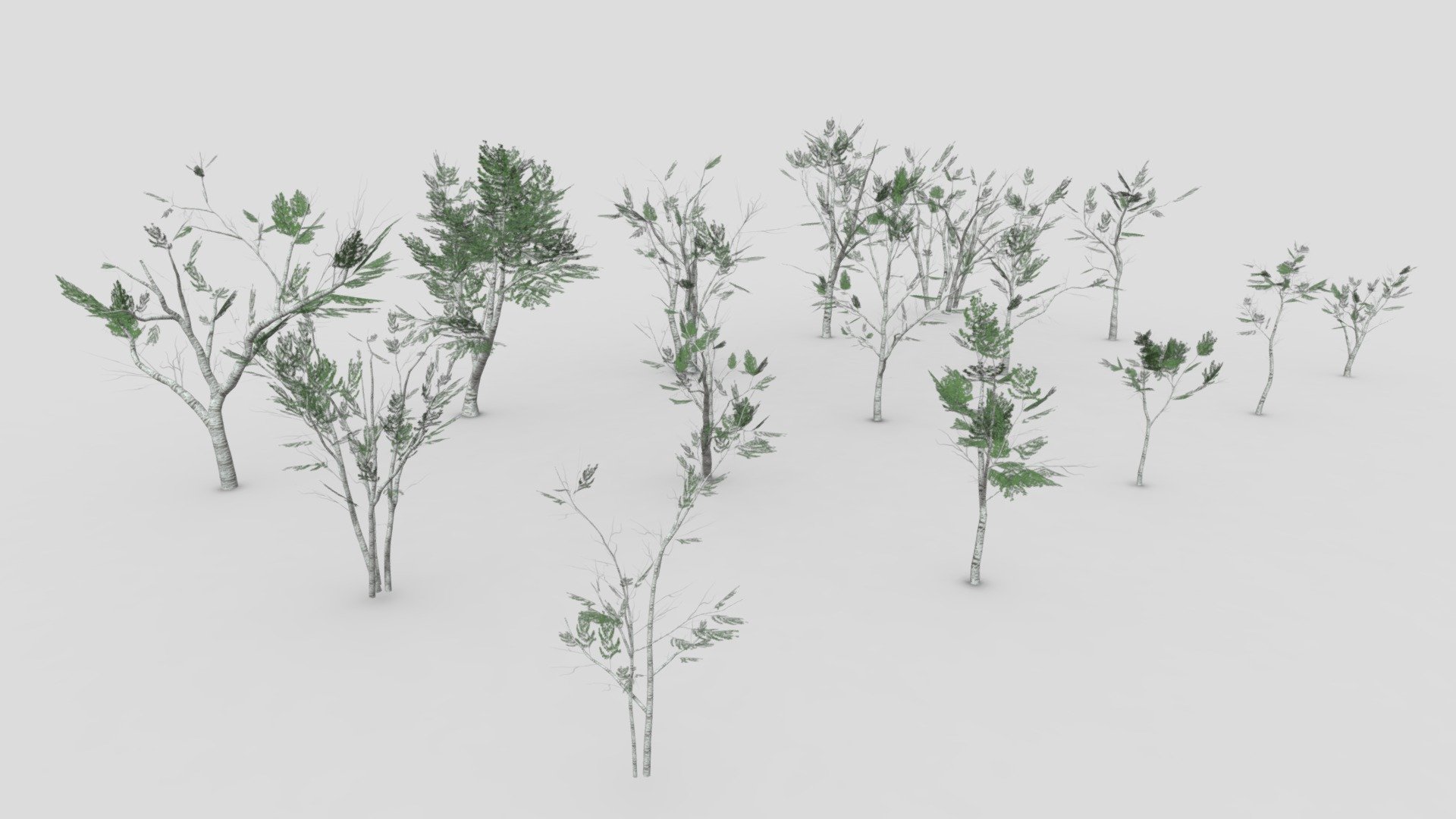White Birch Collection-20
this is low poly collection of 15 withe birch tree to use it in your porject 3d model