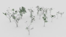 White Birch Collection(15 Styles)-20 tree, plants, birch, withe, game, lowpoly, low, poly, whitebirch