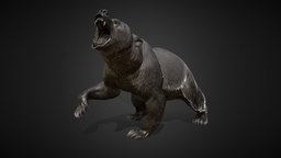 Bear  | 3D Sculpting bear, beast, strength, character, art, animal, sculpture