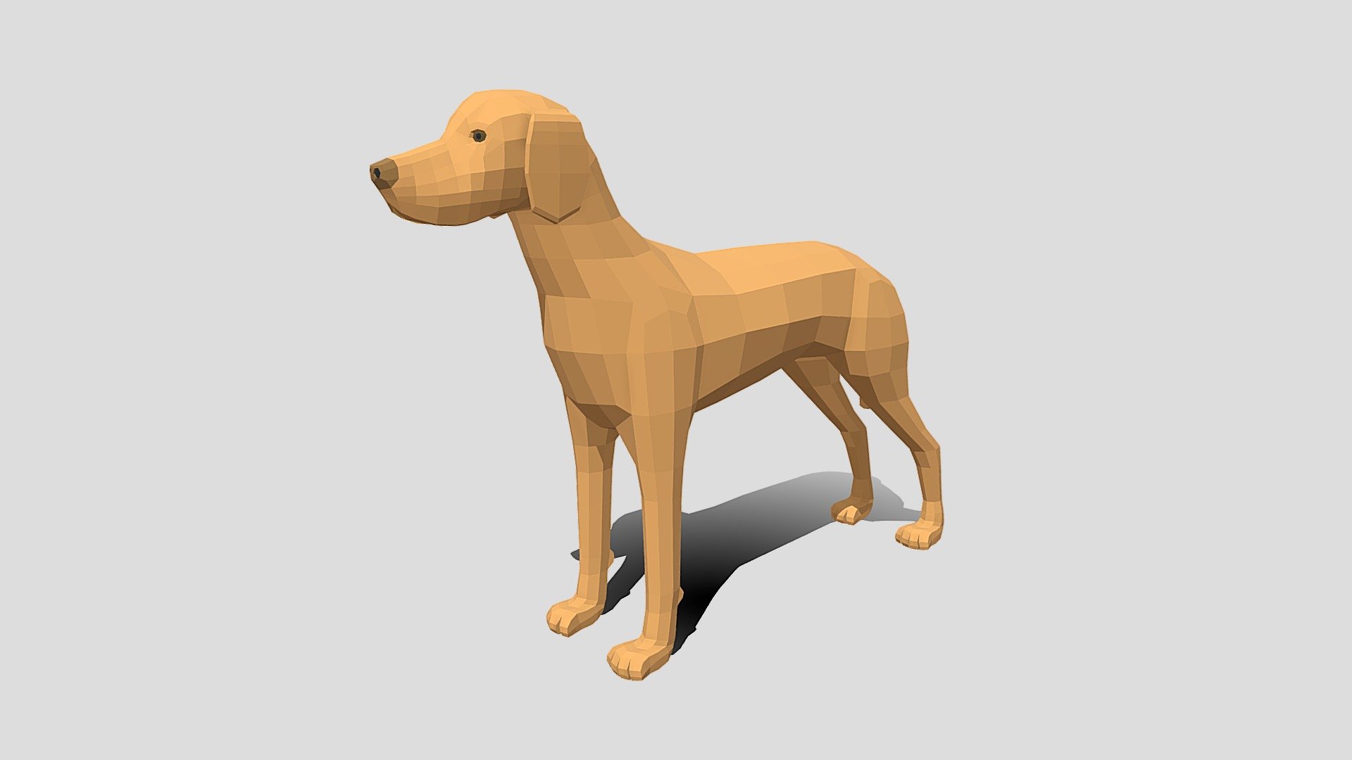 This is a low poly 3D model of a Hungarian Vizsla Dog. The low poly dog  was modeled and prepared for low-poly style renderings, background, general CG visualization presented as 1 mesh with quads/tris.

Verts : 1.257 Faces : 1.256.

The 3D model have simple materials with diffuse colors.

No ring, maps and no UVW mapping is available.

The original file was created in blender. You will receive a 3DS, OBJ, FBX, blend, DAE, Stl, gLTF.

Product is ready to render out-of-the-box. Please note that the lights, cameras, and background is only included in the .blend file. The model is clean and alone in the other provided files, centred at origin and has real-world scale 3d model