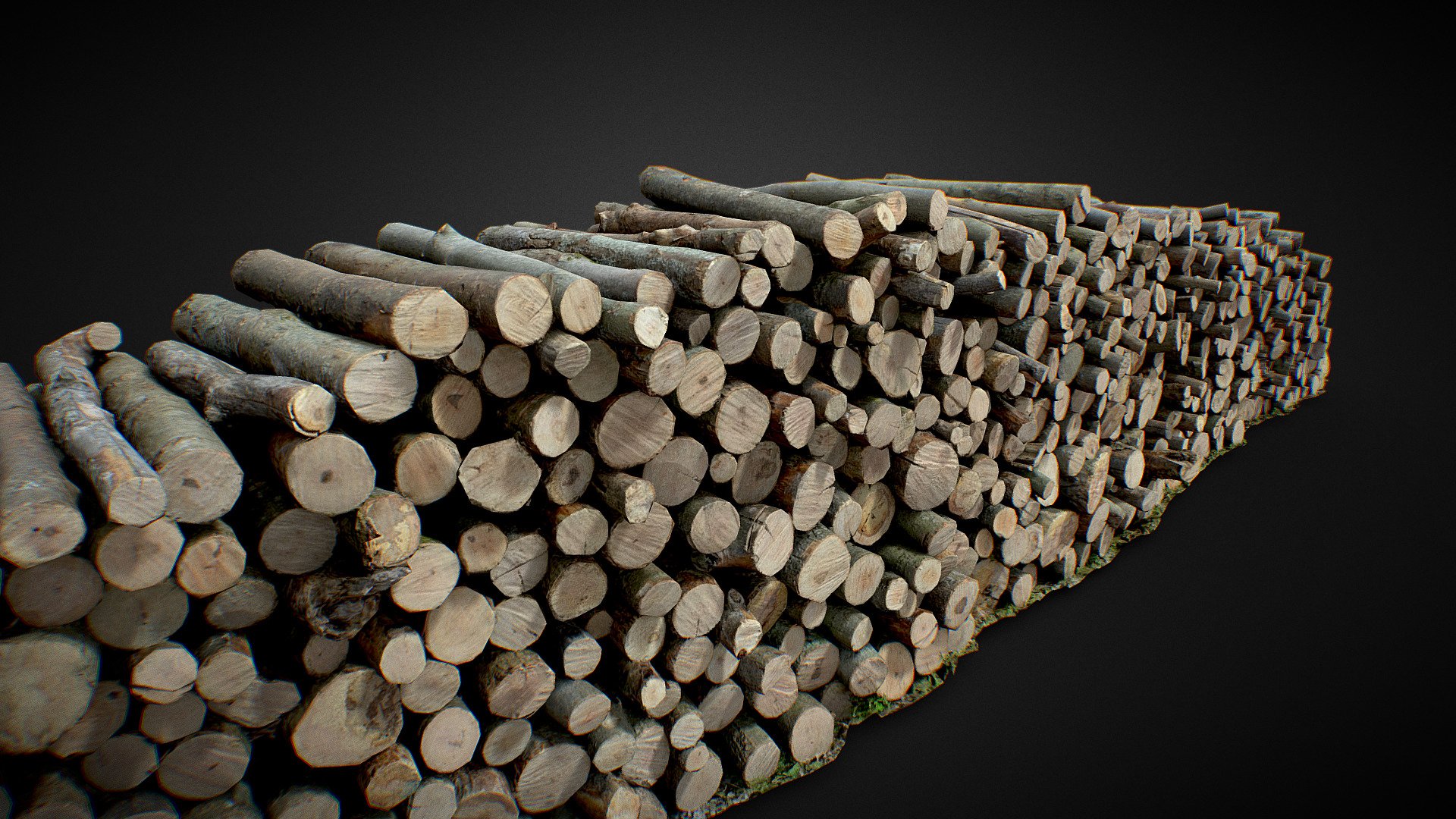 Photogrammetry Wood Log Pile Large 3D Scan
8K textures - Wood Log Pile Large 3D Scan - Buy Royalty Free 3D model by grafi (@zdenkoroman) 3d model