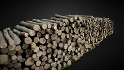 Wood Log Pile Large 3D Scan trees, tree, wooden, forest, log, big, industry, rough, pile, cut, vegetation, trunk, logo, nature, large, stack, bare, lumber, mediaval, forrest, mediavel, woodhouse, photogrammetry, 3dscan, house, home, wood, industrial, environment