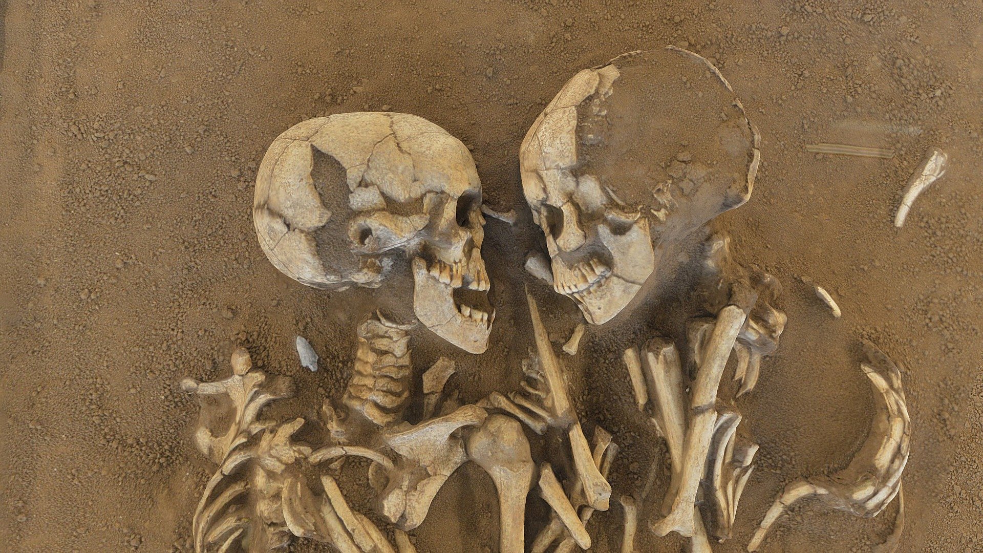 particolare sepoltura neolitico &hellip; circa &hellip; - Amanti Di Valdaro - 3D model by adelmo 3d model