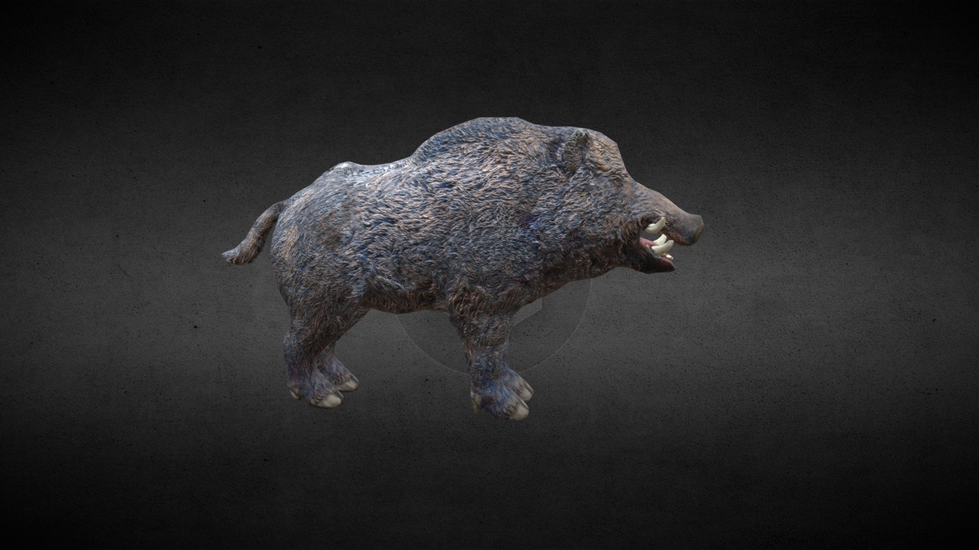 Low poly boar 3d model