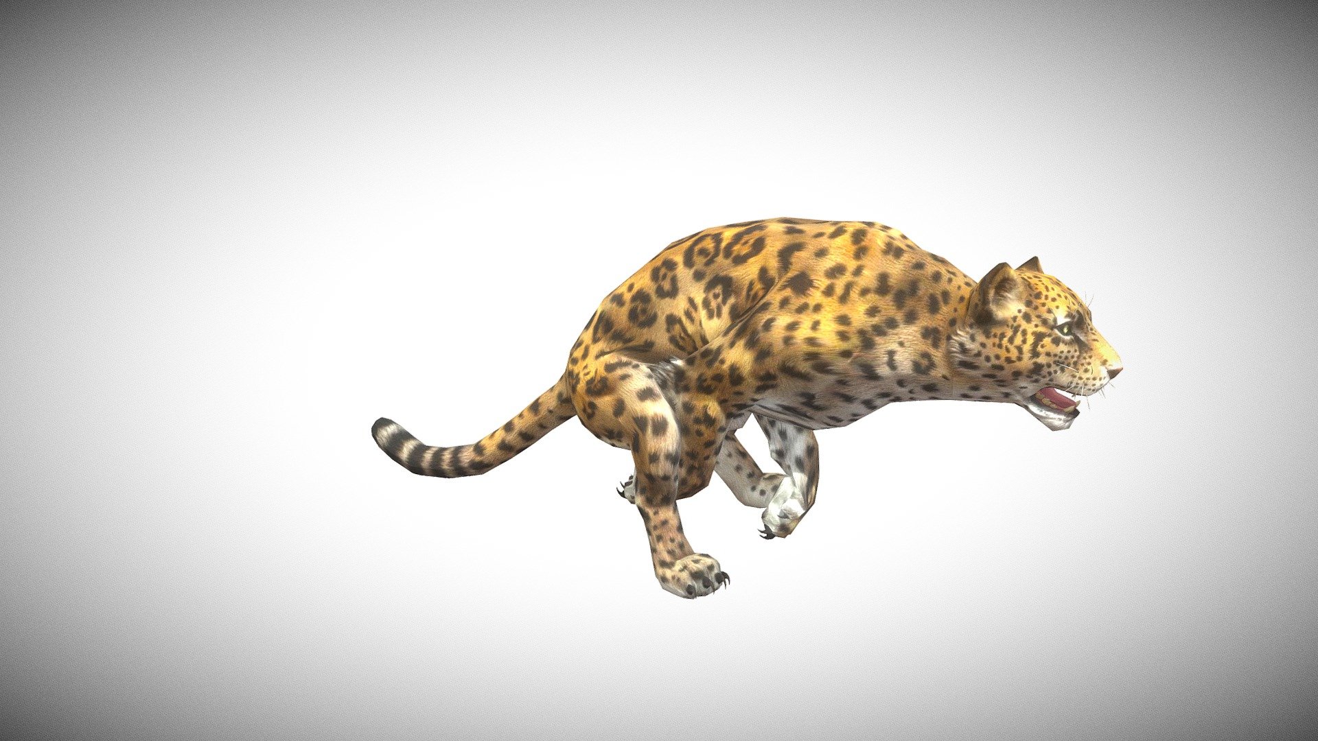 Hunting Gameready character , related animations: Walk (2 types), Idle (5 types), Attack (6 types), Die (4 Types), Run (2 types), - Jaguar - 3D model by ElectroNick 3d model