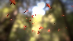 Fall leaves animation tree, plant, wind, flying, sustainable, motion, nature, fall, naturaleza, leave, nature_asset, nature-plants, modeling, animation, sculpture, c4d