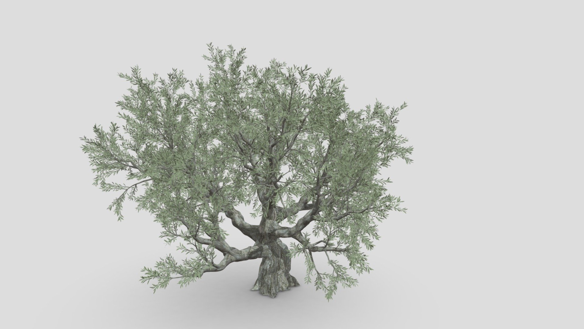 This is a part of model taht has realitstic and high quality texture. we try to publish different style in one mode dues to limitaion we have to publish in different part. we hope you use it 3d model