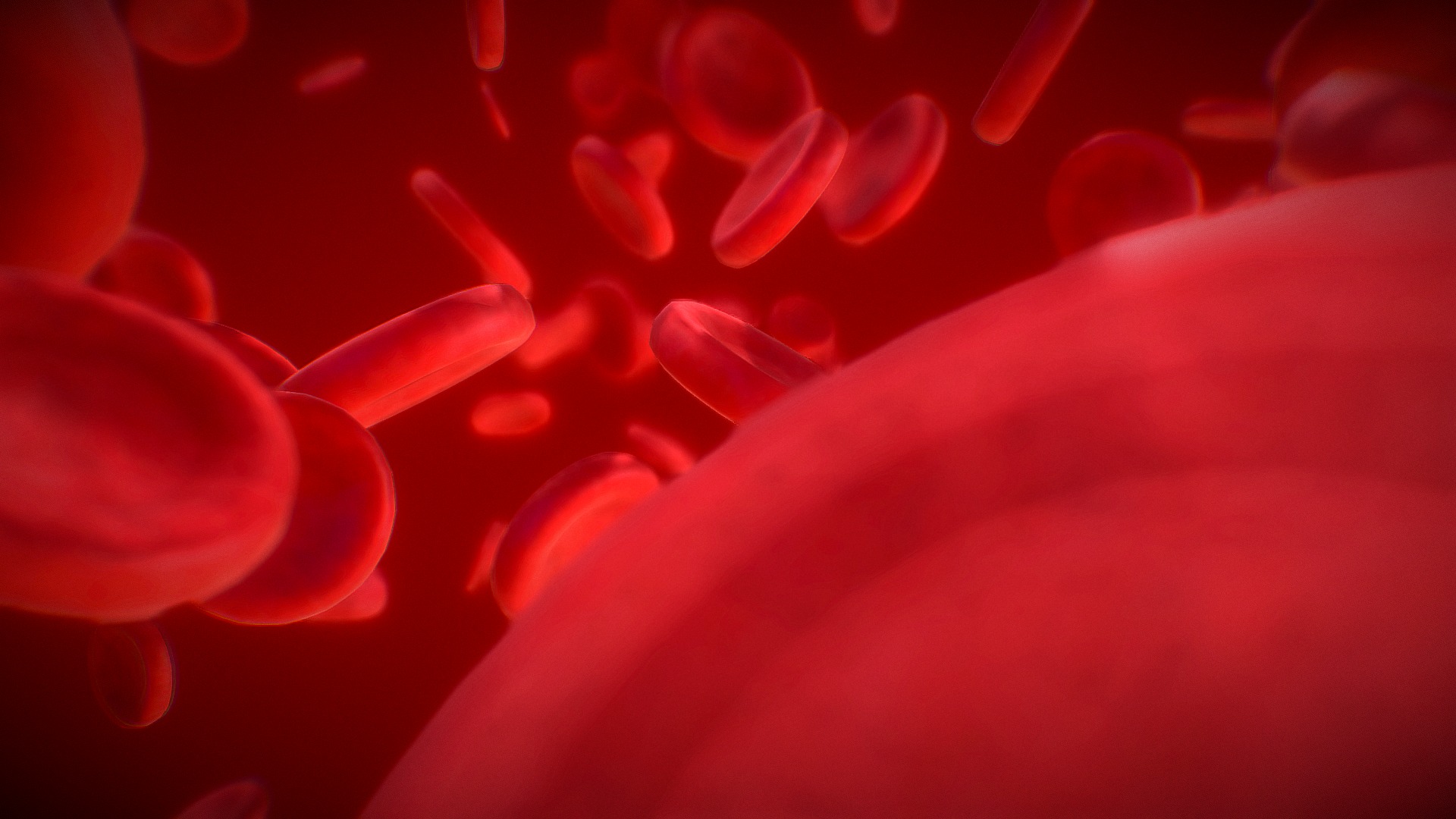 Blood Cells - Blood Cells - 3D model by Negrin 3d model