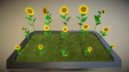 Sonnenblumen flowers, blender-3d, sunflowers, shape-keys, sonnenblumen, morph-target-animation, animation