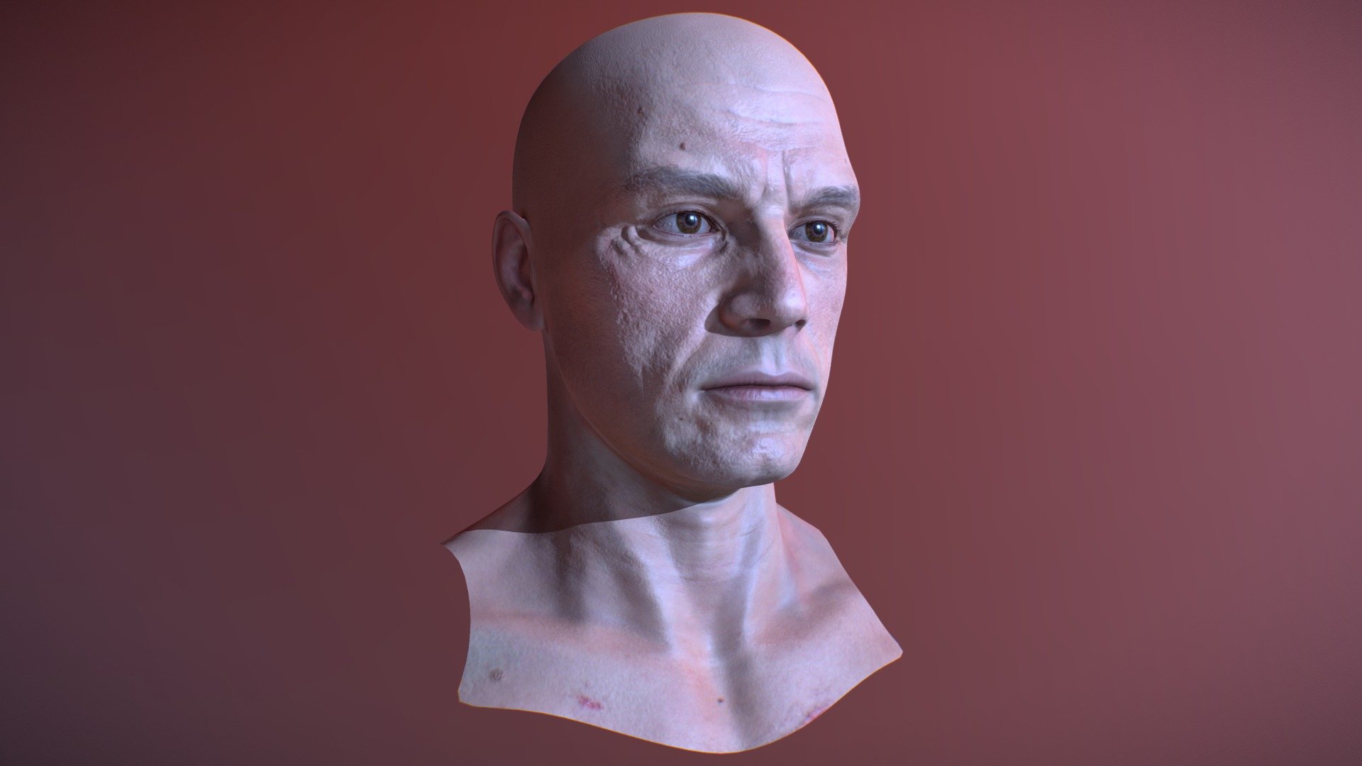 Man head model.with pbr 4k textures.in archive skeletal mesh with extra shapes on every part of head - Man Head Model - Buy Royalty Free 3D model by nik1420 3d model