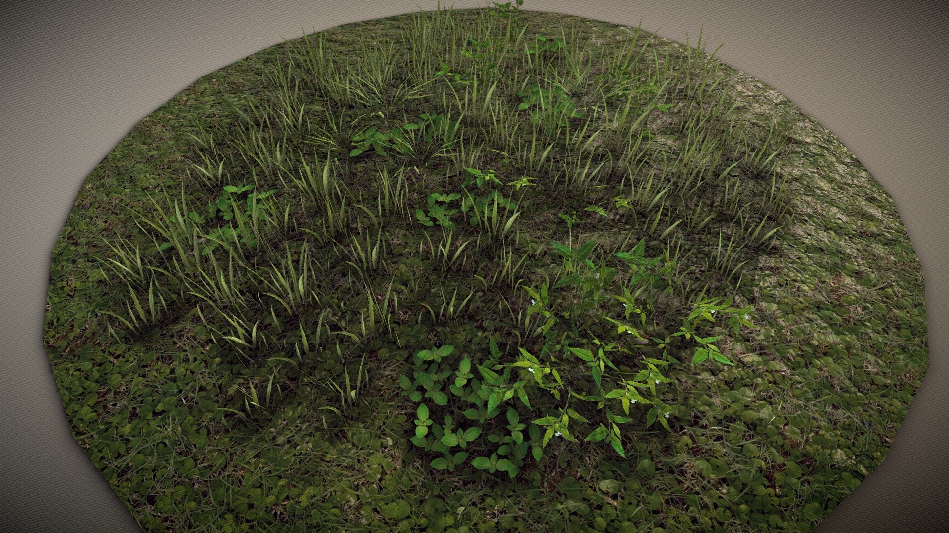 Ground Foliage texture with sample models.

Details:

Maps are 4K resolution (.tif) with alpha channel ready to use in Unity or more engines.

One PBR material

Maps Sample:  https://imgur.com/bTzwnrj

Here an example of this grass rendered in Unity, image with the caption &ldquo;Tall Grass