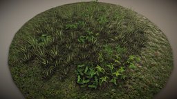 Ground Foliage plants, foliage, game-asset, low-poly-model, texture, environment