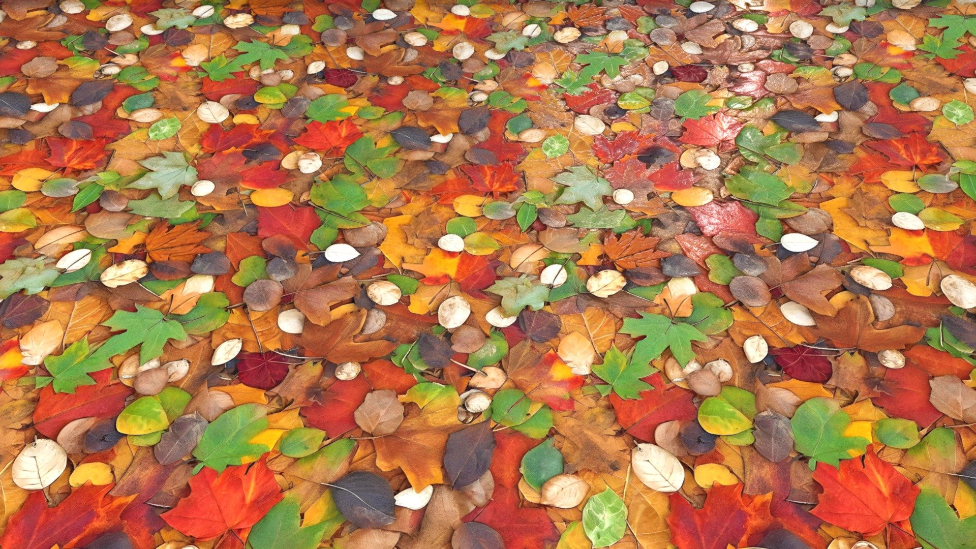 AI-generated lTexture of autumn leaves in various colours - Texture of autumn leaves in various colours - Download Free 3D model by Tijerín Art Studio (@tijerin_art) 3d model