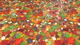Texture of autumn leaves in various colours autumn, ia, various, texture, colours, leaves