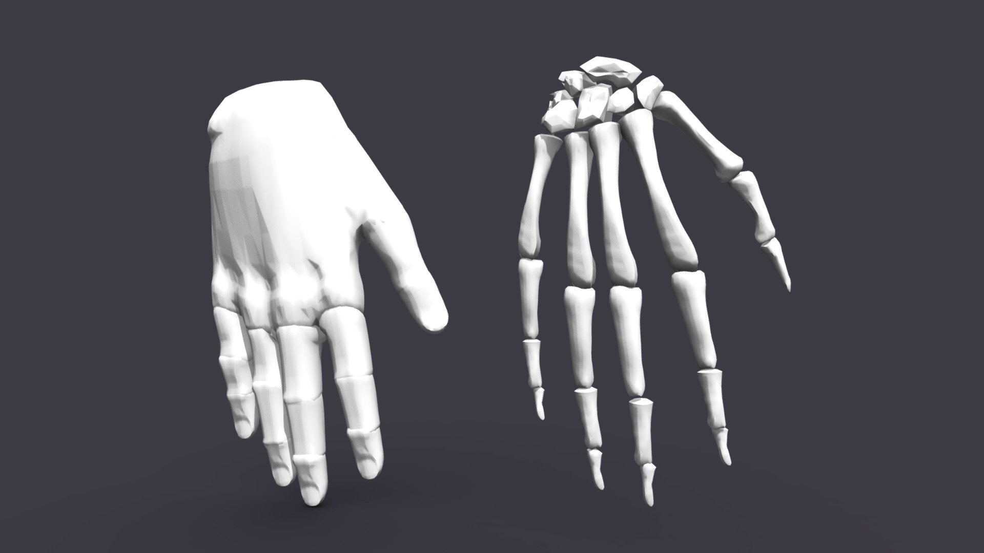 Two versions of Human Sole base mesh. This item includes a high poly version of the Hand Skeleton&amp;Skin.

For use in anything that you would need a base mesh of a Human Sole for. Both models are unwrapped and ready for sculpting.

With this base poly Soles pack you can get you started right away on your new character without the headache of modelling the base mesh first.

Very fast rendering – Ready for sculpting.Accurate quad-poly mesh is good for turbosmoothing. Ready for 3d medical presentations.
 - Hand Skeleton&Skin - Download Free 3D model by 1225659838@qq.com (@Novaky) 3d model