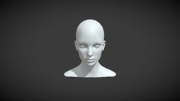 Female Head Realistic Base Mesh 3D Model body, face, eye, sculpt, base, anatomy, mesh, portrait, ear, realistic, nose, head, woman, human-head, female-head, base-mesh, character, girl, bust, female, superficial-anatomy, female-head-base-mesh, human-head-base-mesh