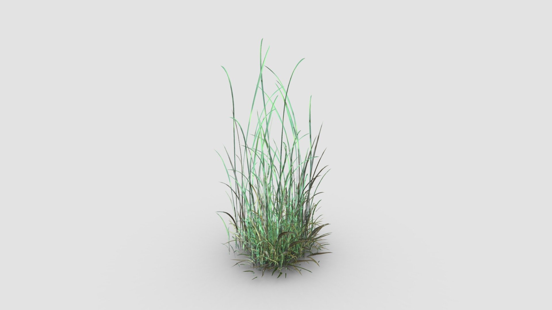 Highly detailed 3d model of plant with all textures, shaders and materials. It is ready to use, just put it into your scene 3d model