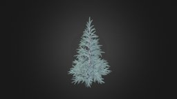 Spruce Tree 3D Model 1.5m