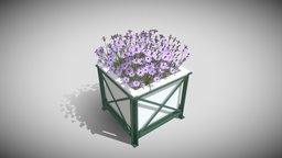 City Flower Pot Violet Flowers