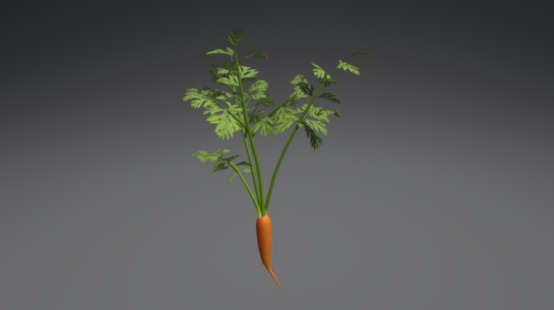 Carrot plant - 3D model by Cengkerik (@backbone) 3d model