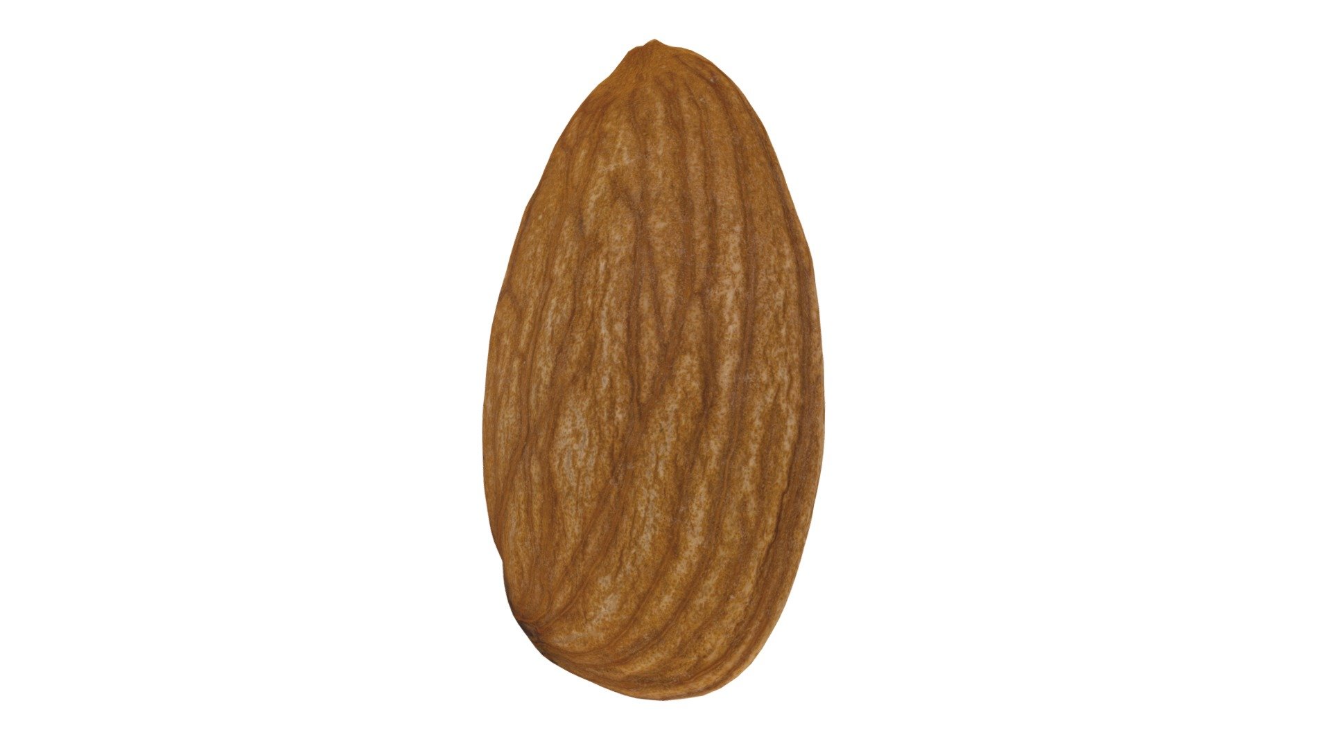 Highly detailed, photorealistic, 3d scanned model of an almond. 8k textures maps, optimized topology and uv unwrapped.

Model shown here is lowpoly with diffuse map only and 4k texture size.

This model is available at www.thecreativecrops.com 3d model