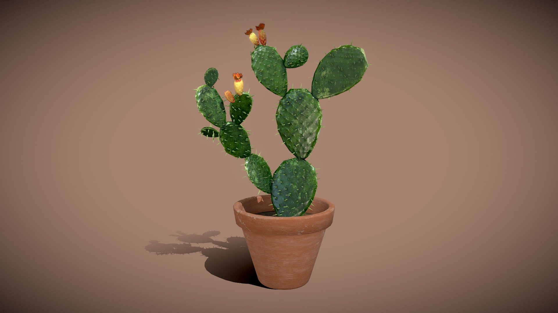 Opuntia Cactus in pot

4096x4096 PNG texture - Opuntia Cactus - Buy Royalty Free 3D model by Karolina Renkiewicz (@KarolinaRenkiewicz) 3d model