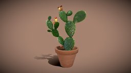 Opuntia Cactus plant, pear, pot, flower, garden, spikes, cactus, pricklypear, decoration, prickly-pear-cactus, cactus-pear, prickly_pear