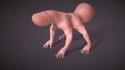Finger Spider [Rigged + Walk Cycle] anatomy, b3d, spider, arm, scary, finger, walkcycle, character, blender, blender3d, hand-painted, creature, walk, animated, halloween, horror