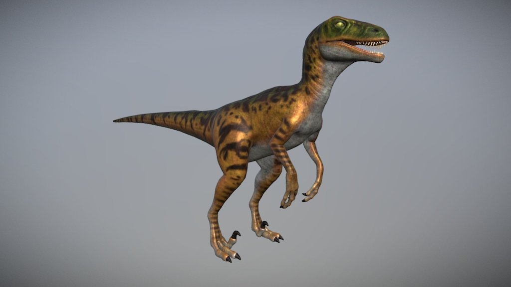 Modelagem de um Velociraptor da série de jogos do PS1 - Dino Crisis

Softwares utilizados: Zbrush, Maya, Photoshop

Dino Crisis Velociraptor Concept
 - Dino Crisis - Velociraptor - 3D model by BrunoGPS 3d model