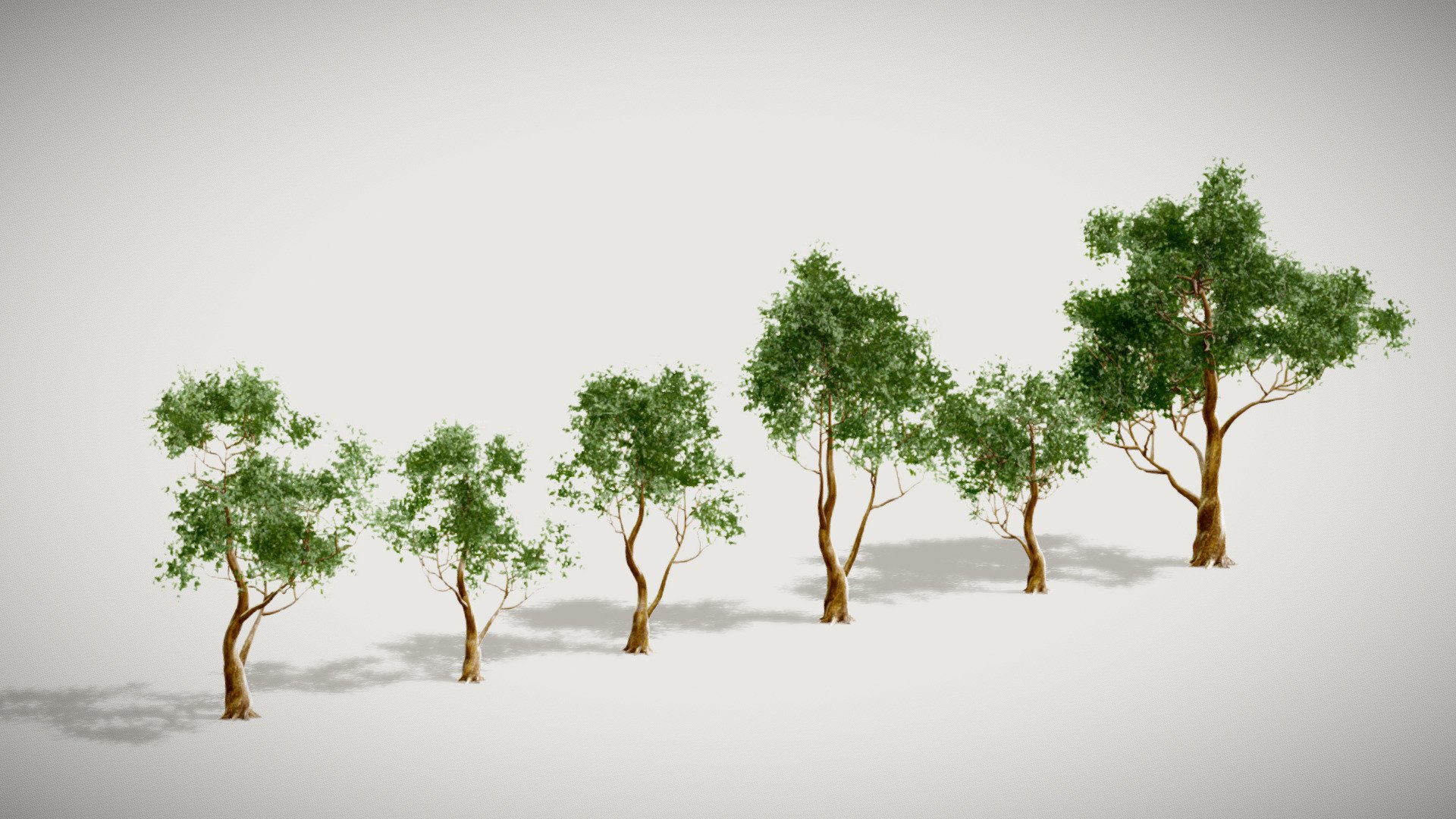 Tree Pack 01 




IN FBX FILE FORMAT ( version 7.5 (2016)

You can use this  Tree Pack 01  model.
easily in ur advertising or visualisation projects..

NOTE* Whenever you buy any model.
Please check the quality of the model,  UV'S and its texture size.
And if you have any kind of problem in a model.
So feel free to contact with me






My Email : ubros27@gmail.com




Please don't forget to rate the model, for us it is very important :)


 - Tree Pack 01 - Buy Royalty Free 3D model by UJWAL CHAUHAN (@xamplle) 3d model