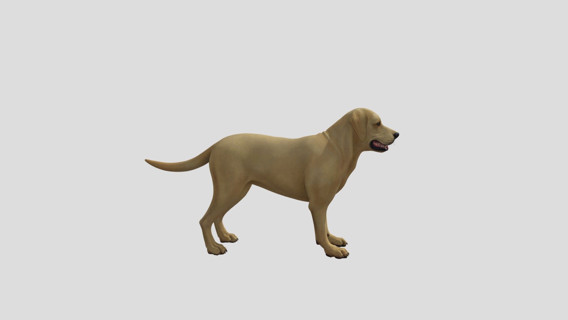 animal
dog - dog - Download Free 3D model by neighbor (@kylekip) 3d model