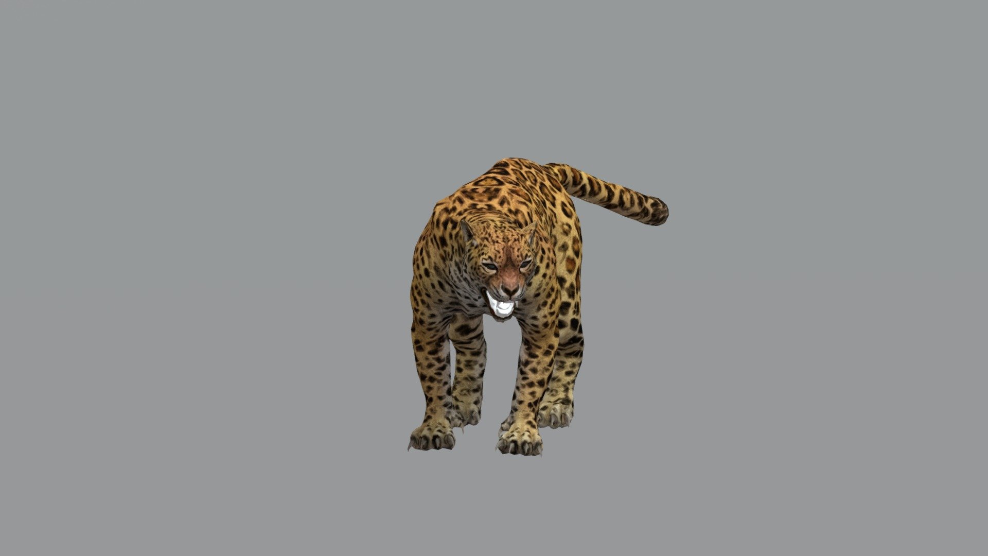 3D viewer will make Model Small , i suggest Blender or else , i checked it works .
🐆 Leopard  Quick Test  Texture + animation targets 
Fbx model 2 frames
retarget from mine 3d model