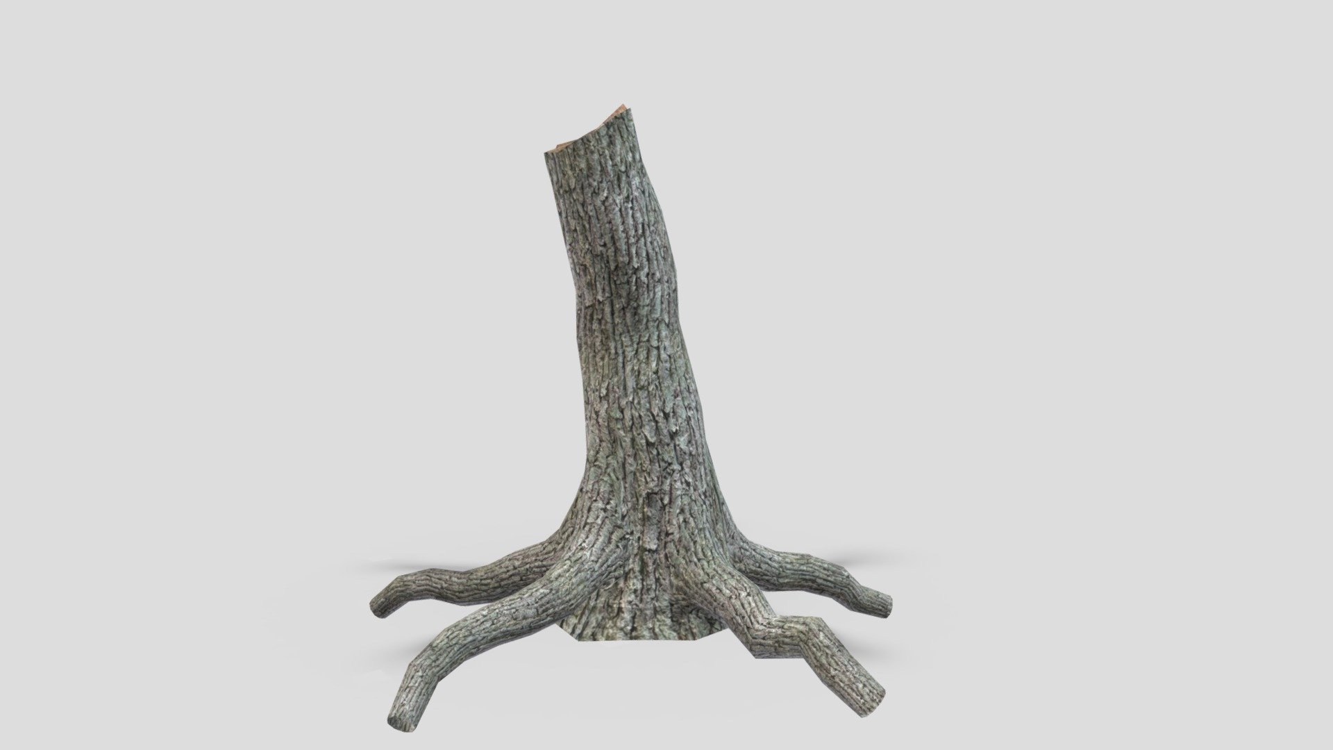 this is simle low poly of Stup tree - Stump Tree-01 - Download Free 3D model by ASMA3D 3d model