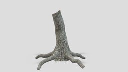 Stump Tree-01 stump, 3dtree, 3d, 3dnature, 3dstump, 3dlowpolystump, 3dlowpolytree, lowpolystump, noai