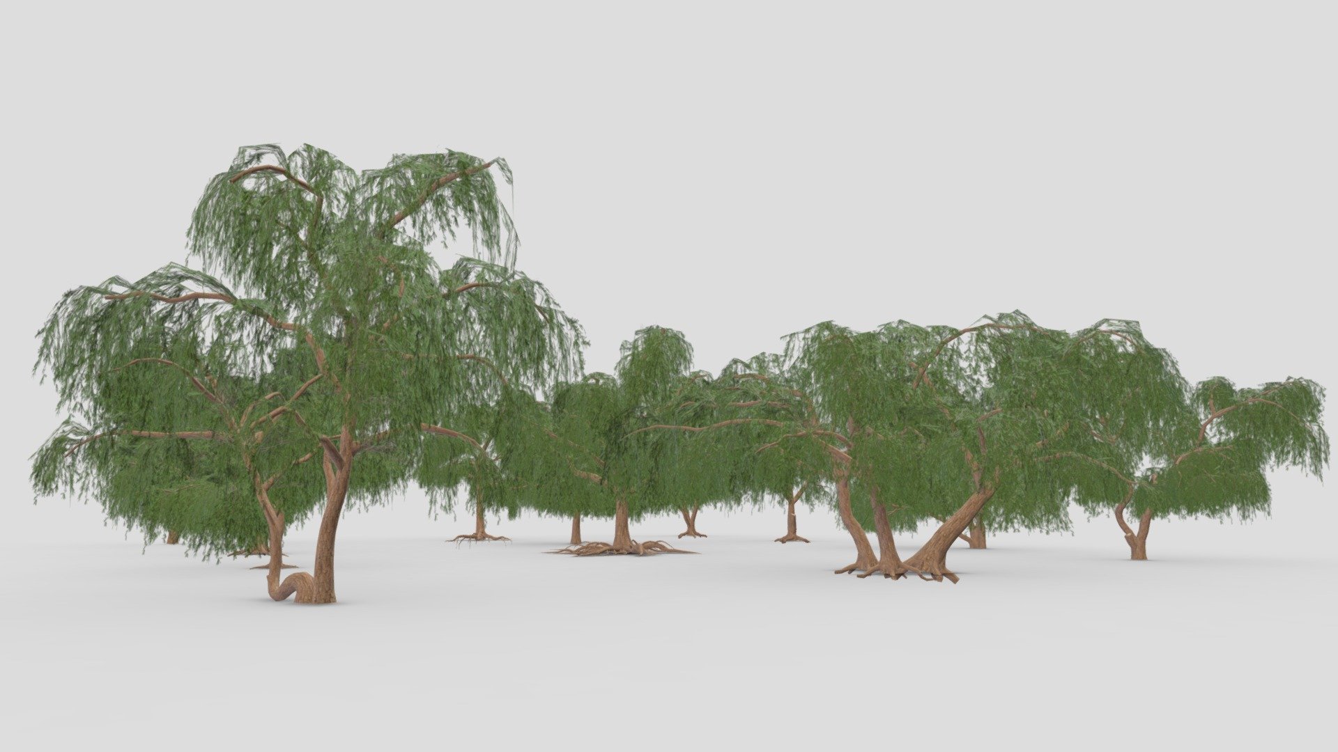 This is a low poly 3D Model collection of the Prosopis tree. This collection contains 12 3D Models of the Prosopis tree. I tried to provide you a low poly collection of the Prosopis Tree, you can use that in your projects 3d model