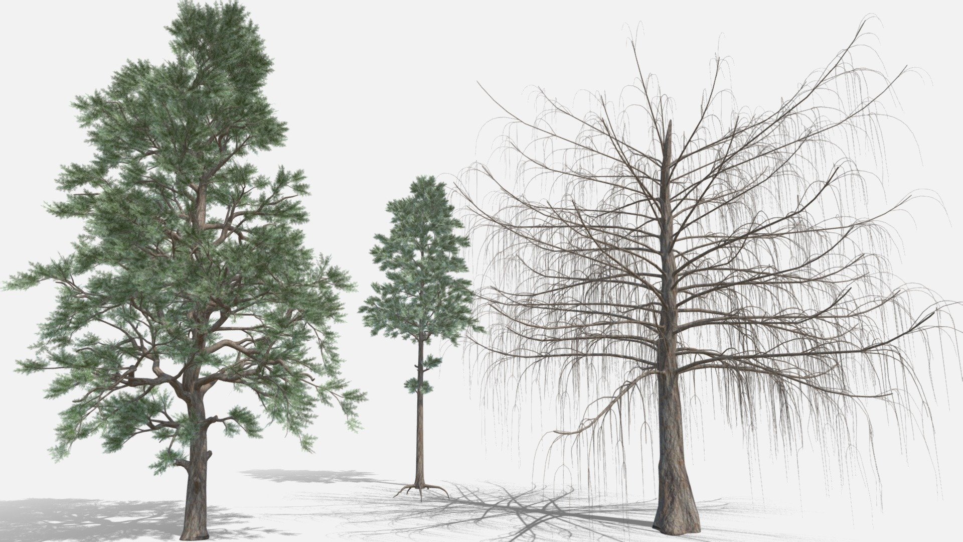 Pine tree 2 versions + larch
About 5mb each tree

!!! Restricted by license to resell or reshare my models after purchasing !!! - Pine tree 2 versions + larch - Buy Royalty Free 3D model by VRA (@architect47) 3d model