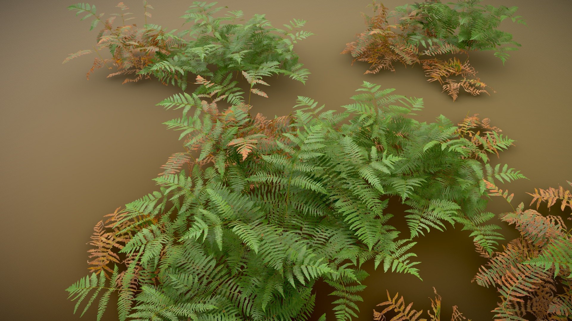 Example scene and modules used of a realistic big forest fern assembly.

All you need to create realastic fern enviromnent for your project!




4K Textures

normal

albedo

roughness 

transmissive

Realisti Fern Forest Realistic Collection Modular - Fern Forest Realistic Collection - Buy Royalty Free 3D model by Per's Scan Collection (@perz_scans) 3d model