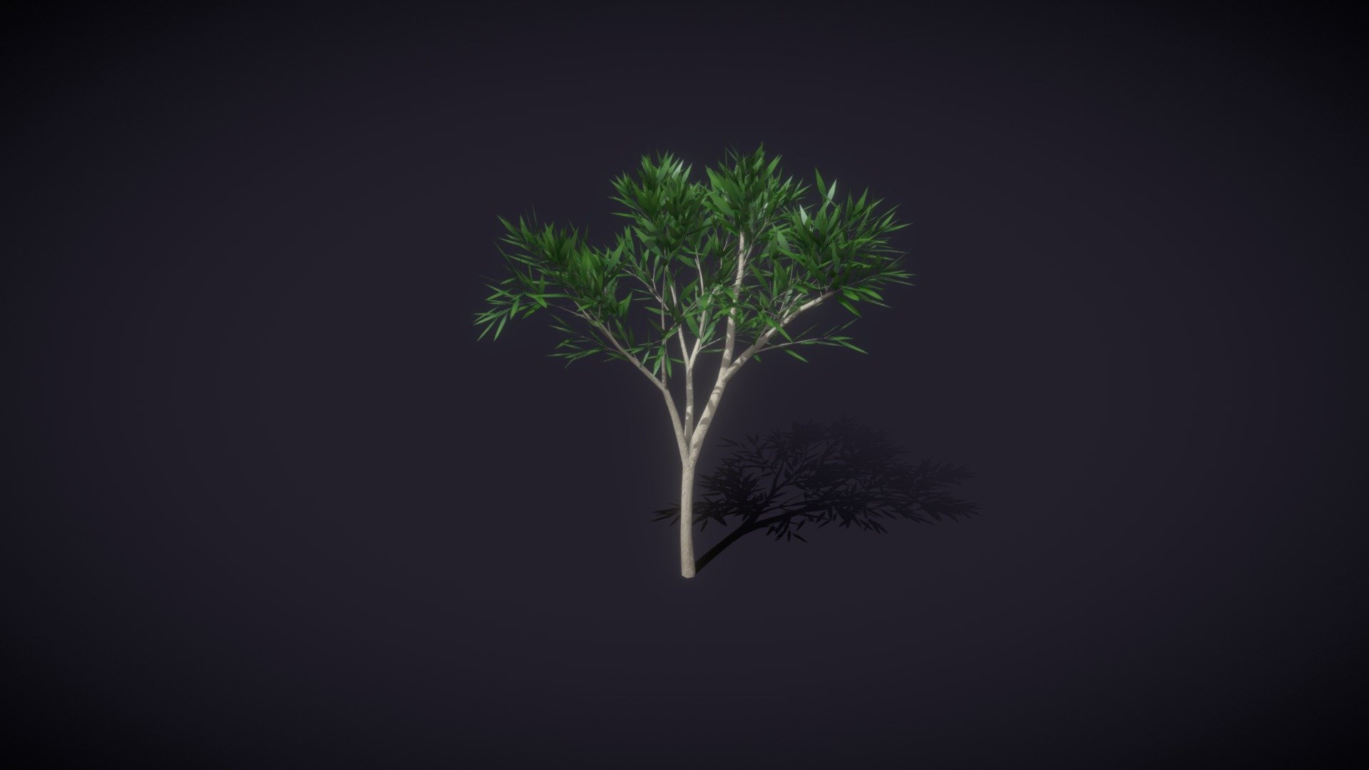 Cartoon Cartoon Eucalyptus Tree 3D Model is completely ready to be used in your games, animations, films, designs etc.



All textures and materials are included and mapped in every format. The model is completely ready for use visualization in any 3d software and engine.



Technical details:







File formats included in the package are: FBX, OBJ, ABC, DAE, GLB, PLY, STL, BLEND, gLTF (generated), USDZ (generated)

Native software file format: BLEND

Render engine: Eevee

Polygons: 6,586

Vertices: 12,150

Textures: Color, Metallic, Roughness, Normal, AO.

All textures are 2k resolution.
 - Cartoon Cartoon Eucalyptus Tree 3D Model - Buy Royalty Free 3D model by 3DDisco 3d model