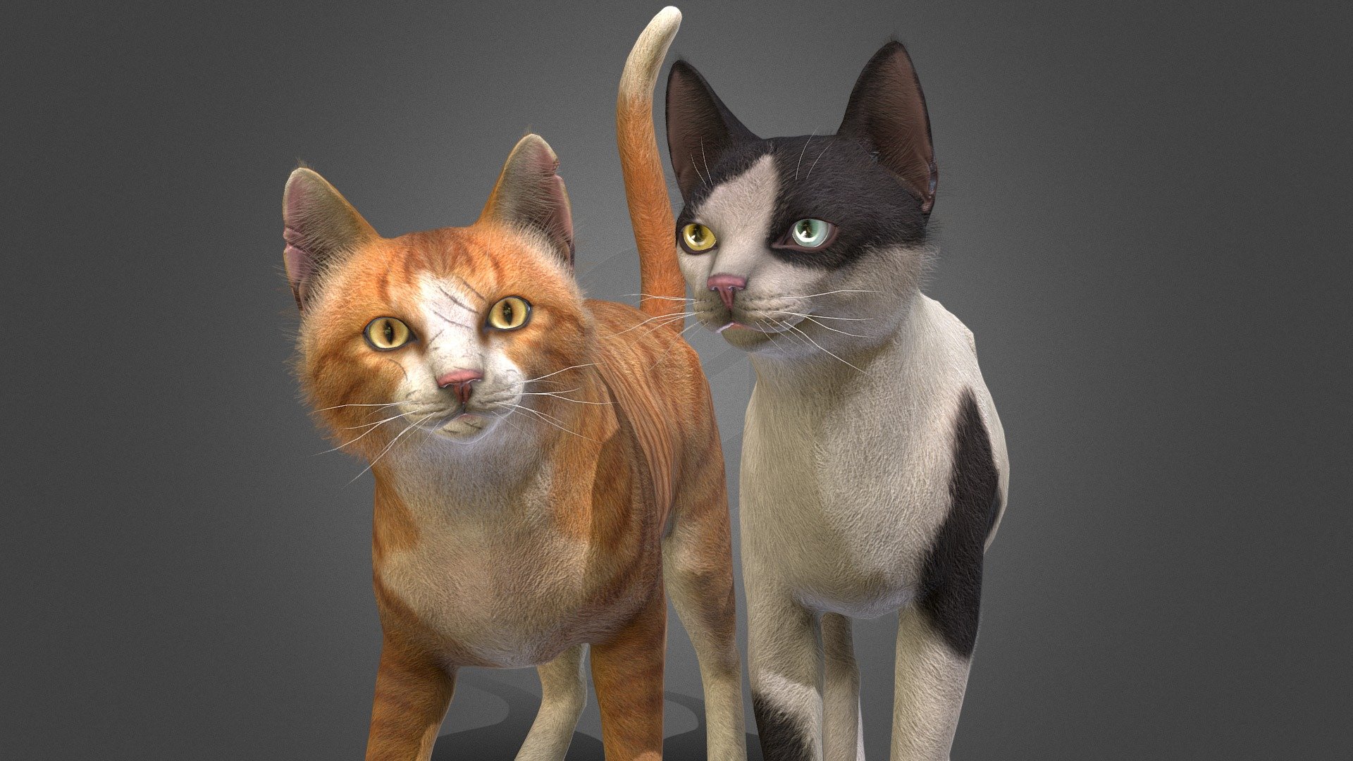 Stray cat models with 100+ IP/PM animations, 2 geometry options and 10 color options.

All colors and animations can be viewed at the links below:
https://sketchfab.com/3d-models/skinny-cats-dfb910f3d6d54251bd1fc775c5a0829d
https://sketchfab.com/3d-models/stray-cats-800d6a6739464266bb5ce0000ad81423
https://sketchfab.com/3d-models/cat-stray-fe3b23bbd56945c5ac170fe861f7fad1

In the attached archive you will find all files with animations. 

If you have any questions, please email me 3d model