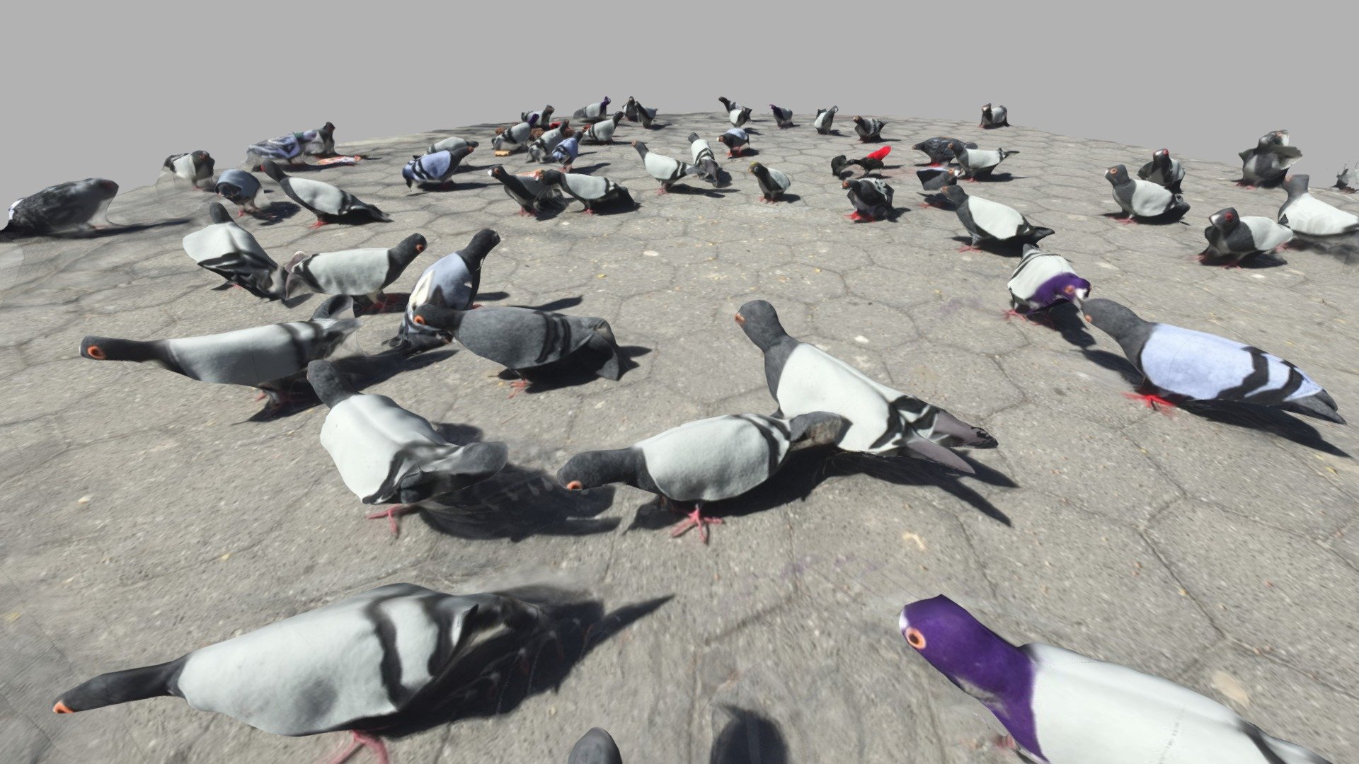 Wow! I managed to take 50 pictures of these birds. I'm pretty proud of the result&hellip;
Processed with Recap360 and cropped with Blender 3d model
